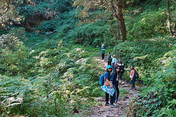 istock Group of Tourists Trekking Through Forest Trail 2250478499