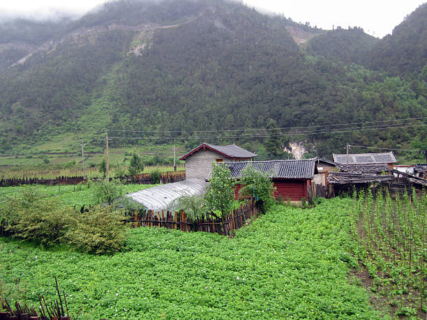 istock Rural scenery with houses and green fields in mountainous area 2250484841