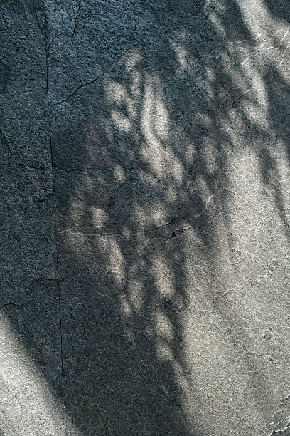 istock Shadow of leaves on the wall 2250485092