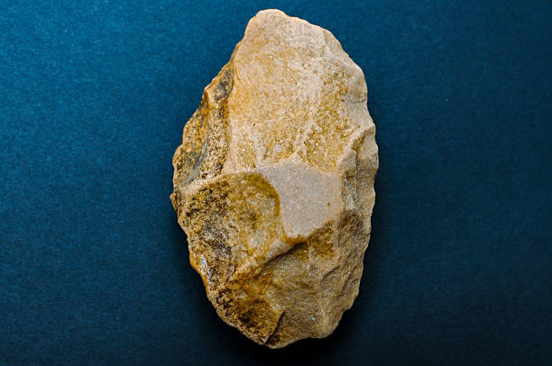Flint nodule silica rock sample collected from the chalk of the UK