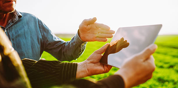 istock Farmers in a field working on a digital tablet. Close-up. 2250498685