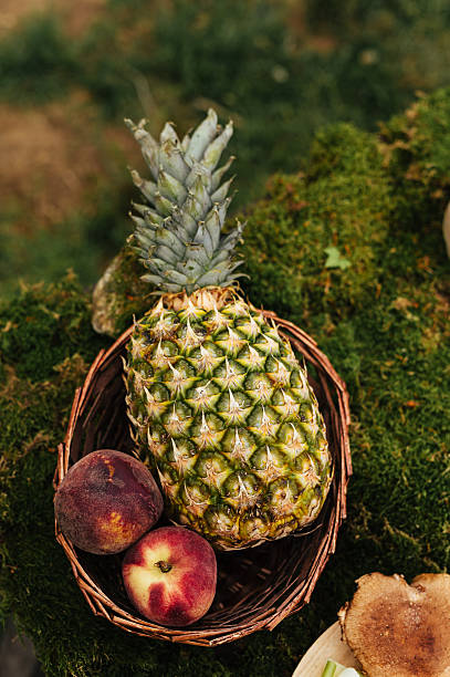 istock Pineapple and Peaches in Rustic Basket Outdoors 2250500997