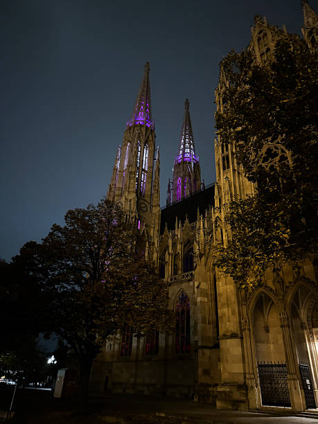 istock Votive Church (Votivkirche) in Vienna at Night 2250501300