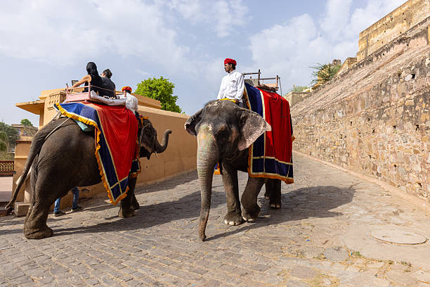 Jaipur, Rajasthan, India - April 2022: Portrait of unidentified tourist riding on decorated elephant at the premises of amber fort at jaipur. Architecture view of amber fort at background.