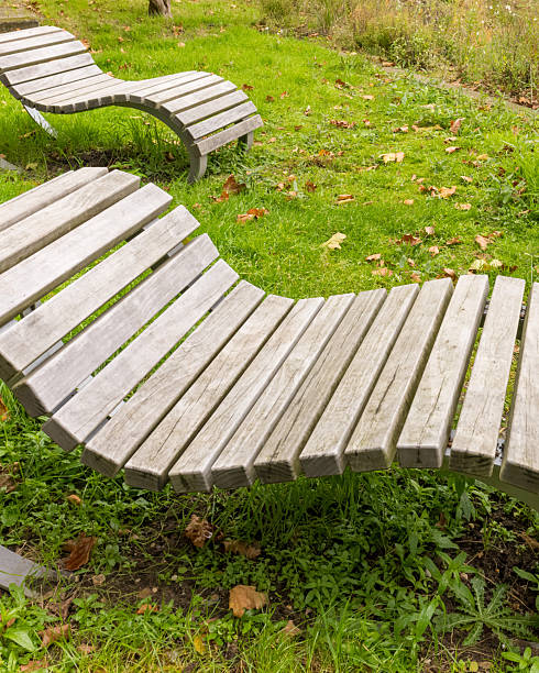 istock Two empty modern wooden benches on green grass with autumn leaves 2250503602