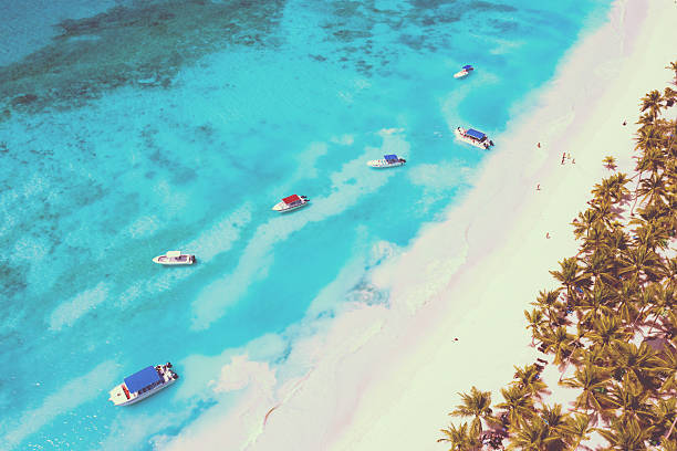 Beautiful Caribbean beach on Saona island, Dominican Republic. Aerial view of tropical idyllic summer landscape with green palm trees, sea coast and white sand