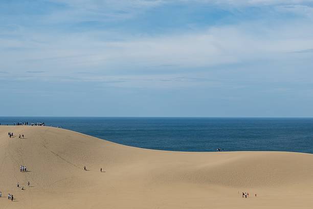 istock Tottori sand dunes, Tottori, Japan 2250508005