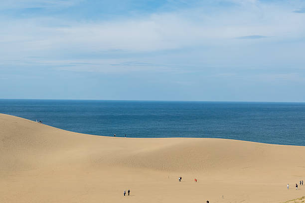 istock Tottori sand dunes, Tottori, Japan 2250508006