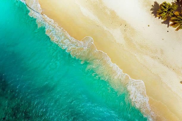 istock Tropical carribbean beach, aerial abstract background 2250508038