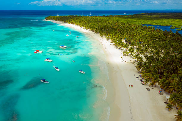 istock Tropical Caribbean beach from above, Dominican Republic 2250508098
