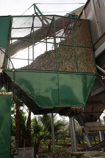 istock Machinery for olive processing in an olive oil mill 2250509026