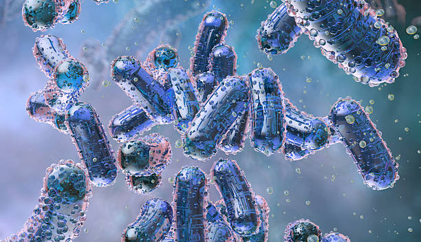 istock Komagataeibacter xylinus bacteria producing bacterial cellulose nanofibers. 2250509174