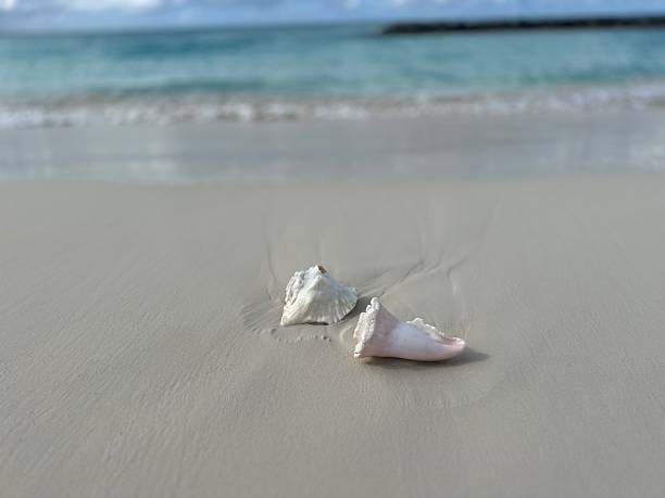 istock Turks and Caicos Island Stock 2250510897