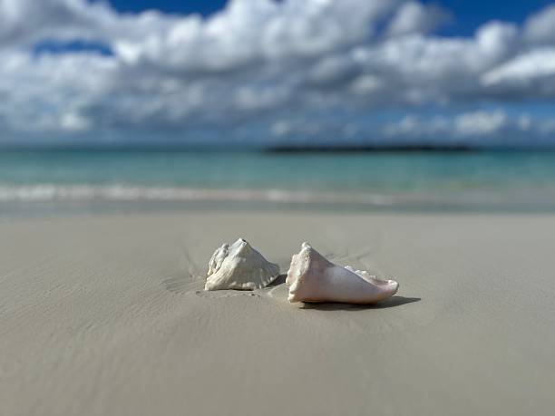 istock Turks and Caicos Island Stock 2250510906