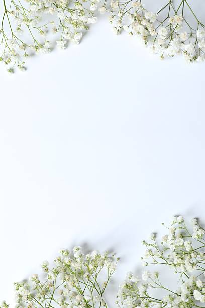 istock Top view photo with gypsophila flowers on white background with empty space 2250512341