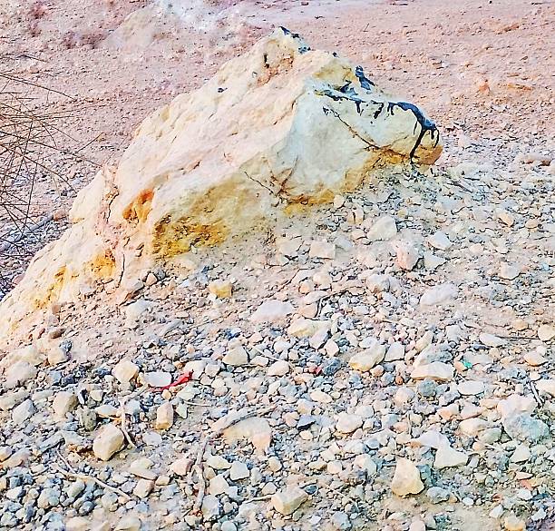 A large rock with a unique shape resembling an animal's head can be seen in a rocky and dry area. The sunlight makes the rock appear yellowish, adding to the natural and attractive appearance of the landscape.
