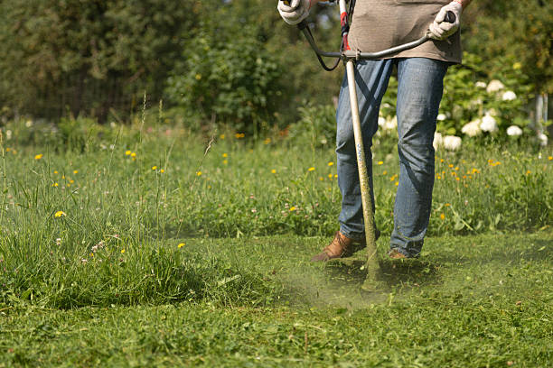 istock Man using grass trimmer cutting weeds in garden 2250521011