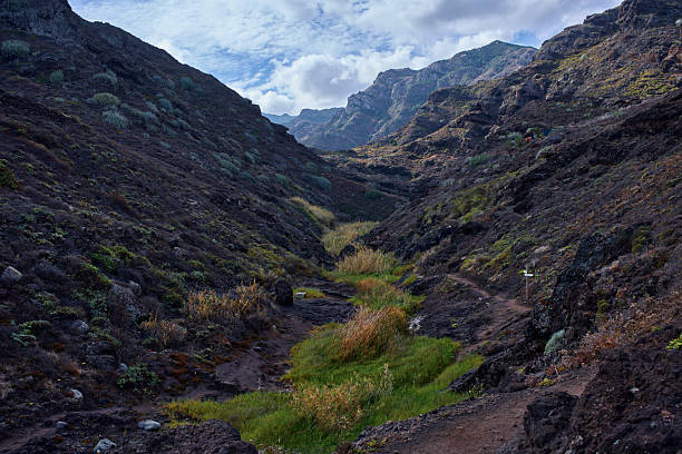 istock Mountain trail through Anaga terrain 2250524418