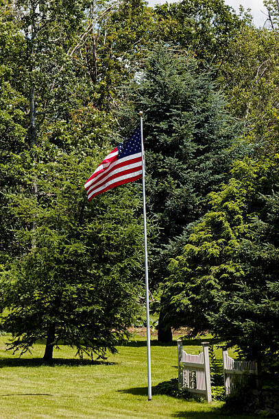 istock American Flag Waving in Sunlit Suburban Backyard with Trees 2250525123