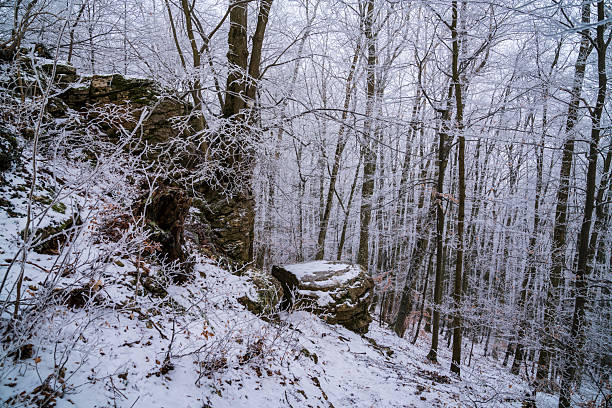 Germany, White snow covered winter landscape nature panorama silence inside forest rocky scenery between the trees