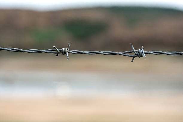 High-resolution close-up photo of a barbed wire fence with a soft, blurred natural background. The shallow depth of field emphasizes themes of security, restriction, boundaries, protection, and separation within a natural environment. Suitable for use in topics related to border control, property protection, conflict, freedom, wildlife management, and environmental boundaries.