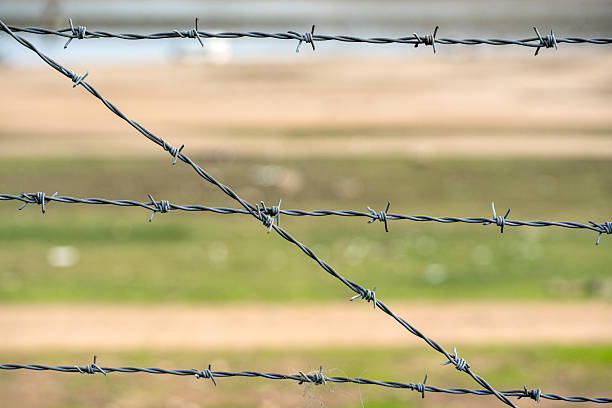 High-resolution close-up photo of a barbed wire fence with a soft, blurred natural background. The shallow depth of field emphasizes themes of security, restriction, boundaries, protection, and separation within a natural environment. Suitable for use in topics related to border control, property protection, conflict, freedom, wildlife management, and environmental boundaries.
