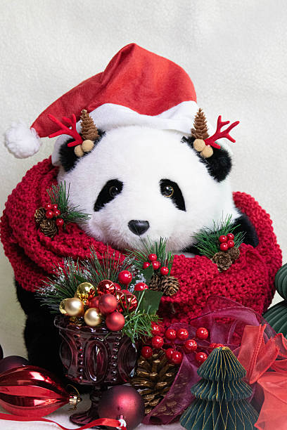 istock Christmas Concept, Festive Panda Cheer 2250531425