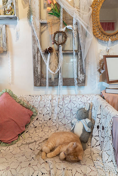 istock Cozy Cat Sleeping on Vintage Couch Decor 2250535134