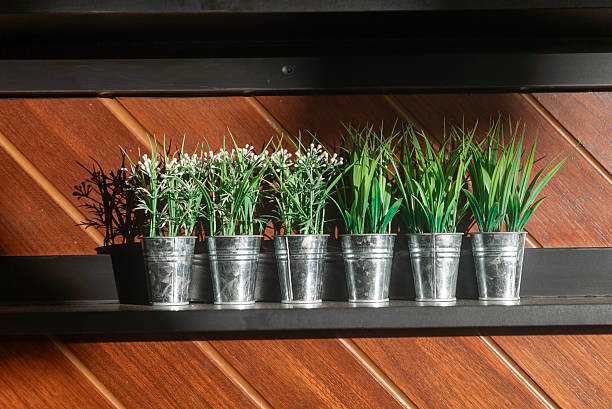 A charming arrangement of greenery in small metal pots displayed on a wooden shelf. The sunlight enhances the vibrant colors, creating a cozy atmosphere.