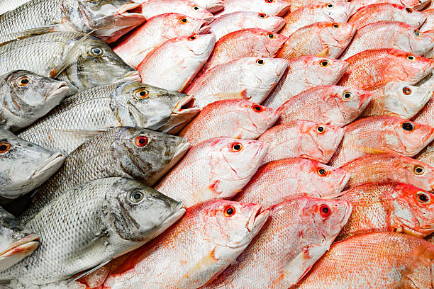 istock fresh raw fish on ice close-up 2250536068