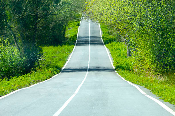 Straight country road and green forest in Springtime forming a tunnel, dividing line. Environmental issues, scenics, nature. Galicia, Spain.