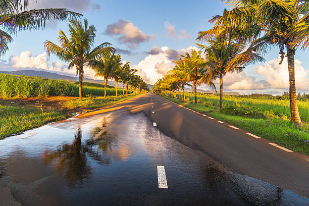 Pick up truck on a country road in Guadeloupe, French west indies. Lesser Antilles, Caribbean
