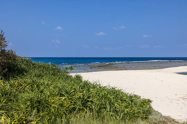 beautiful tomori beach near the airport of amami oshima island, kagoshima prefecture, northern okinawa islands in japan.