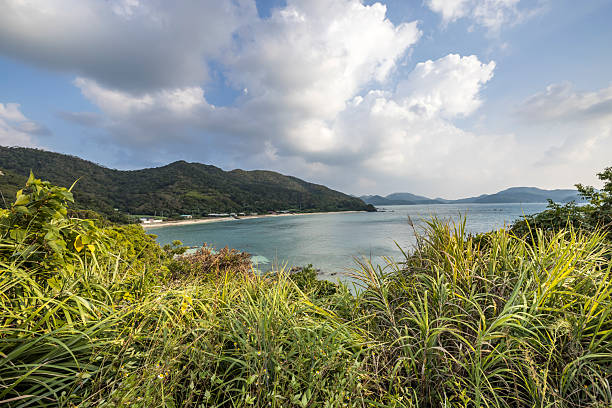 coastal view in the northern part of amami oshima island in japan.