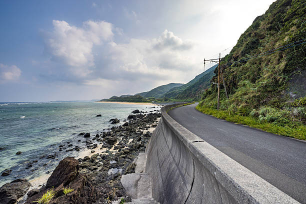 coastal road in the northern part of amami oshima island in japan.