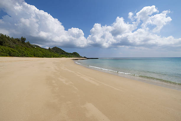 heart rock beach, tatsugochō, amami oshima island, kagoshima prefecture, northern okinawa islands in japan.