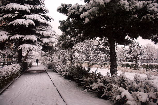 Two people walk along a snow-covered path in Tehran, Iran, as snow falls gently around them. The winter weather transforms the city into a peaceful white landscape.