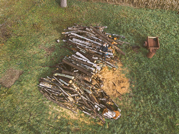 Man with axe prepare to chop timber for firewood in his backyard, prepare for winter