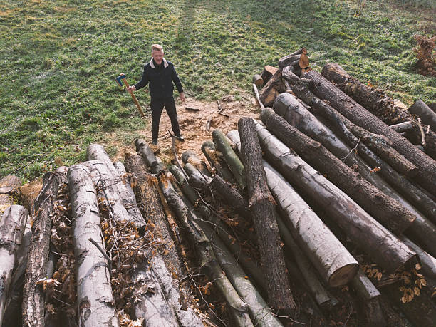 Man with axe prepare to chop timber for firewood in his backyard, prepare for winter