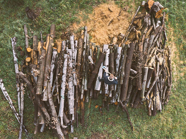 Man with axe prepare to chop timber for firewood in his backyard, prepare for winter