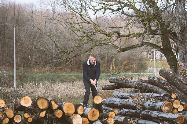 The lumberjack or woodcutter is cutting the firewood on snow at winter.