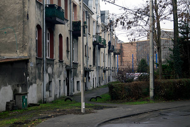 Private houses along the road are lined with green bushes and trees. High quality photo