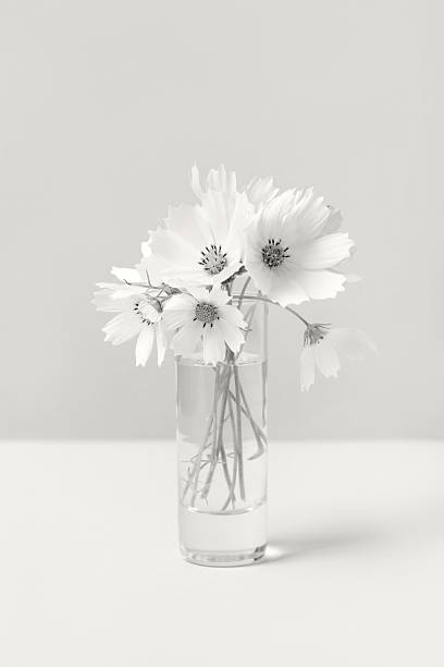 Little white  flower bouquet in a glass vase with  with \nbokeh