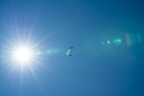 Tauranga New Zealand - February 25 2020; Bright sunburst and lenflare in sky with paraglider flying across through lens flare.