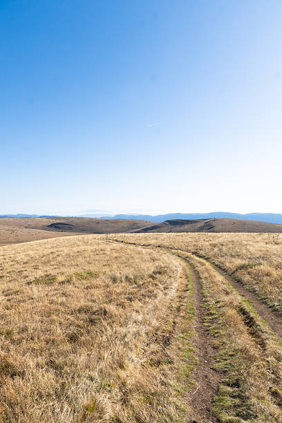 istock Dry grass field with mountains in the back against clear blue sky 2250553936