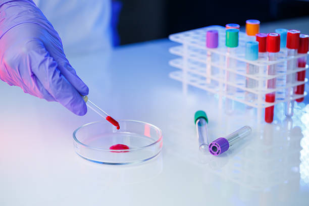 istock A medical professional, laboratory assistant, doctor performs an analysis in a laboratory, uses test tubes, a pipette and a petri dish for the presence of bacteria in the human body. Selective focus 2250554143