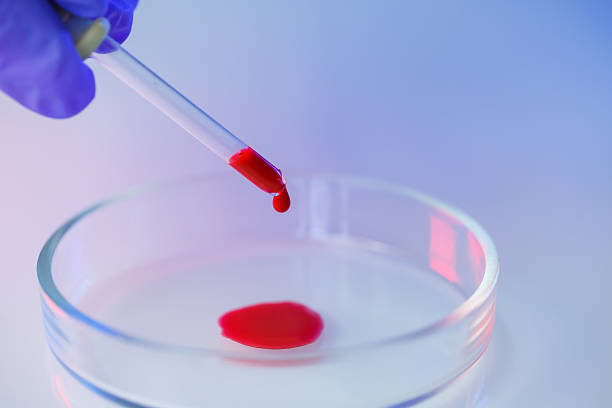 istock A medical professional, laboratory assistant, doctor performs an analysis in a laboratory, uses test tubes, a pipette and a petri dish for the presence of bacteria in the human body. Selective focus 2250554306