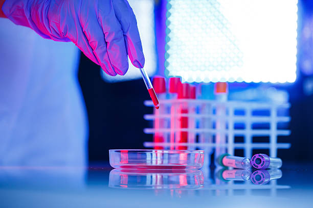 istock A medical professional, laboratory assistant, doctor performs an analysis in a laboratory, uses test tubes, a pipette and a petri dish for the presence of bacteria in the human body 2250555994