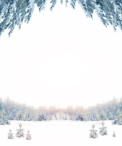 istock Snow-covered branches. Copy space. Snow in a winter forest. Fluffy frost on the trees. Landscape with pine and birch trees. Christmas 2250557252