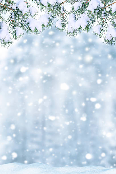 istock Vertical. Snowy landscape. pine trees in a winter forest. 2250557263